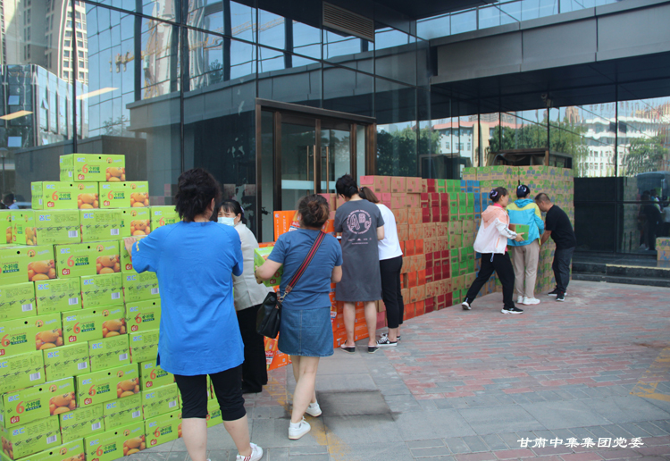 �T���L��